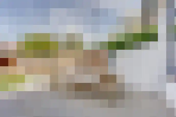 Groenlandstraat 45 Dronten thumbnail 42