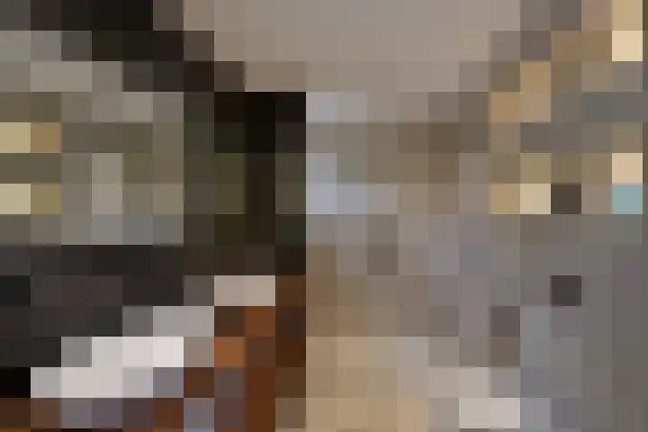 Groenlandstroom 27 Huizen thumbnail 12