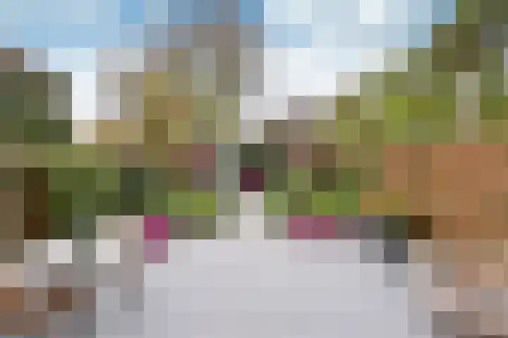 Groenlandstroom 27 Huizen thumbnail 14