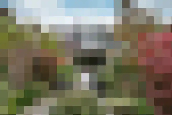 Groenlandstroom 27 Huizen thumbnail 15