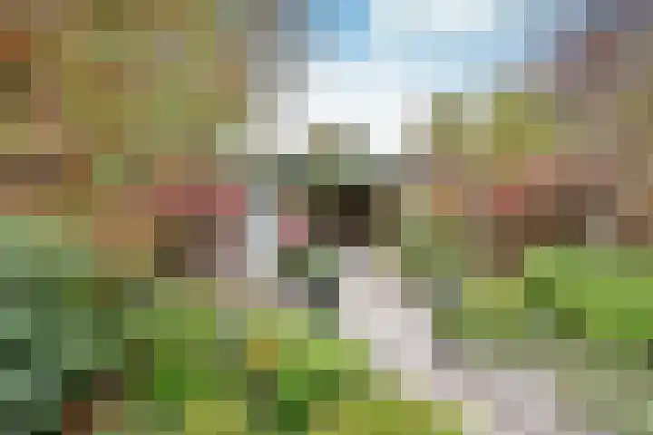 Groenlandstroom 27 Huizen thumbnail 16