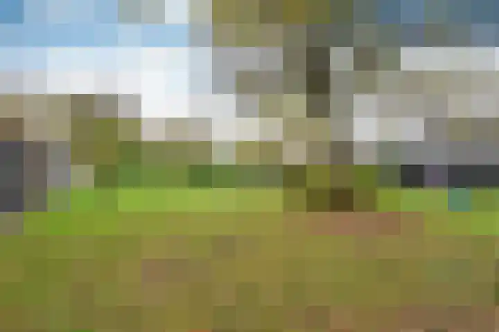 Groenlandstroom 27 Huizen thumbnail 17