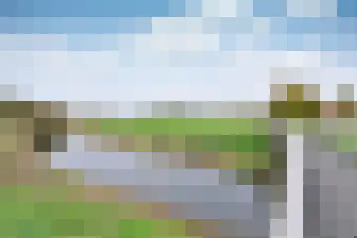 Groenlandstroom 27 Huizen thumbnail 18
