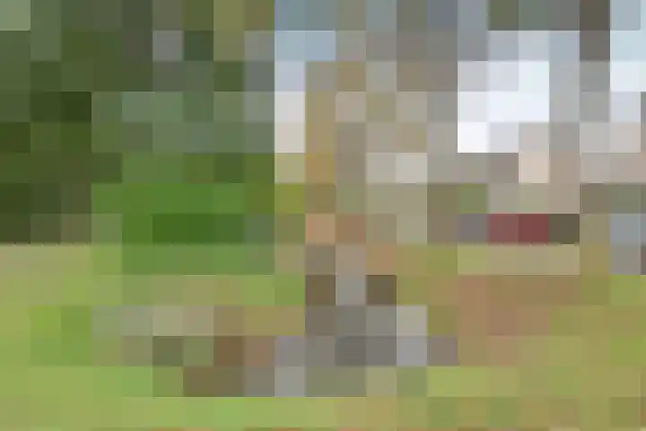 Groenlandstroom 27 Huizen thumbnail 19