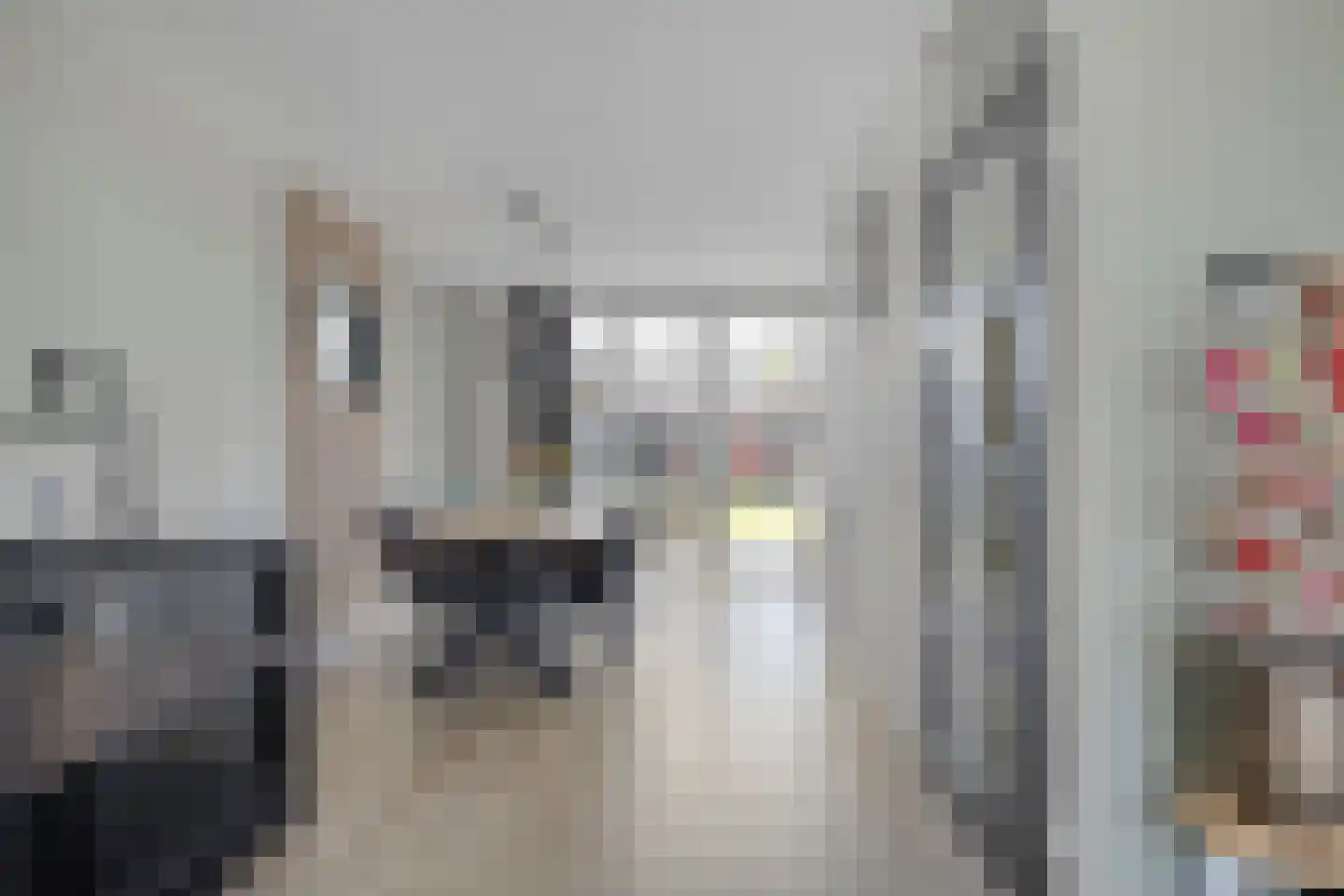 Groenling 10 Boxmeer thumbnail 10