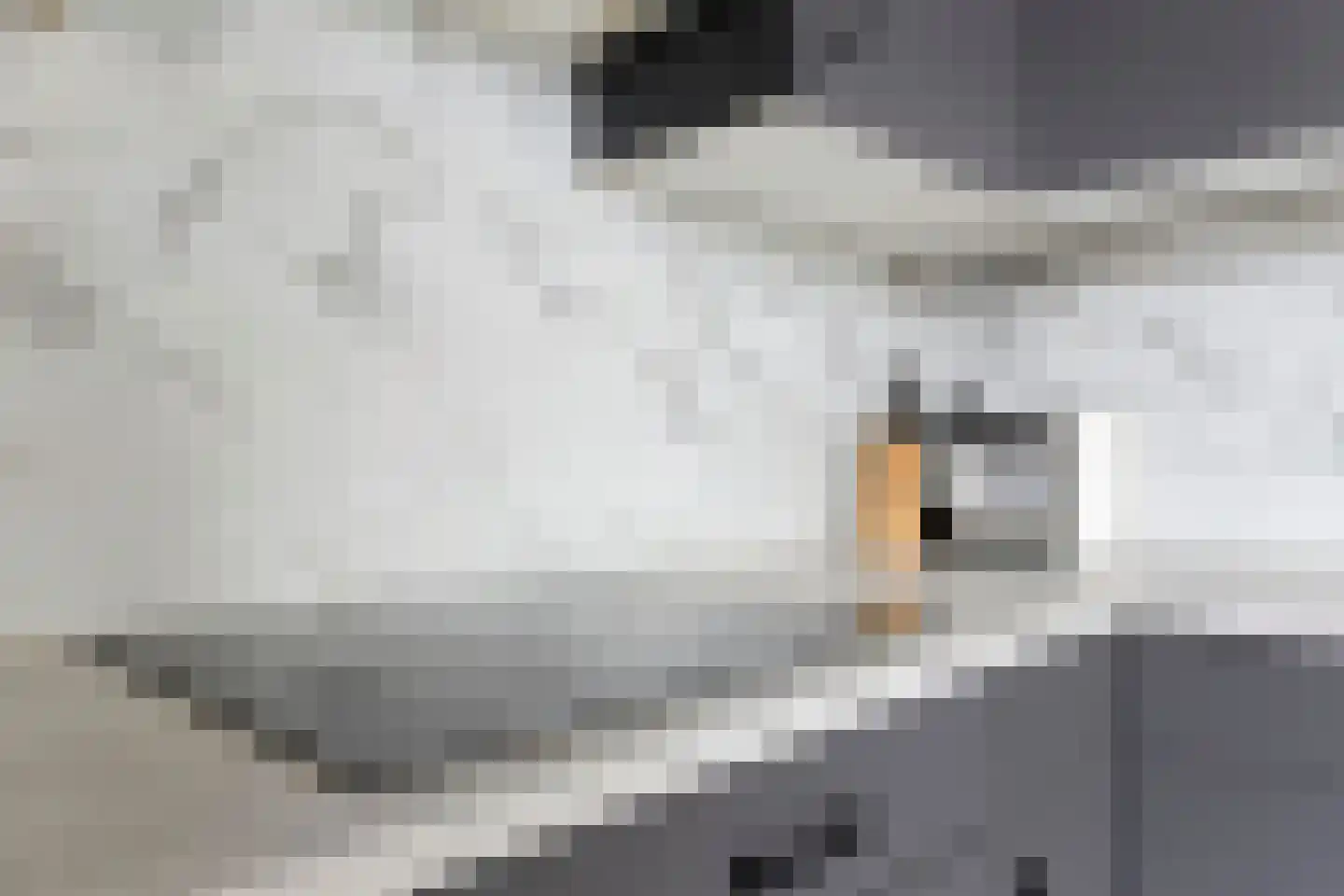 Groenling 10 Boxmeer thumbnail 16