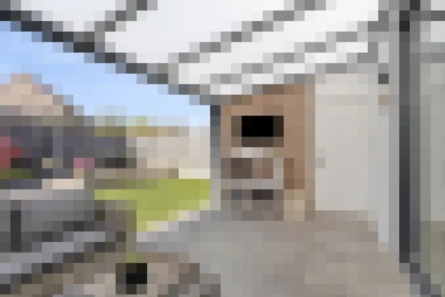 Groenling 10 Boxmeer thumbnail 32