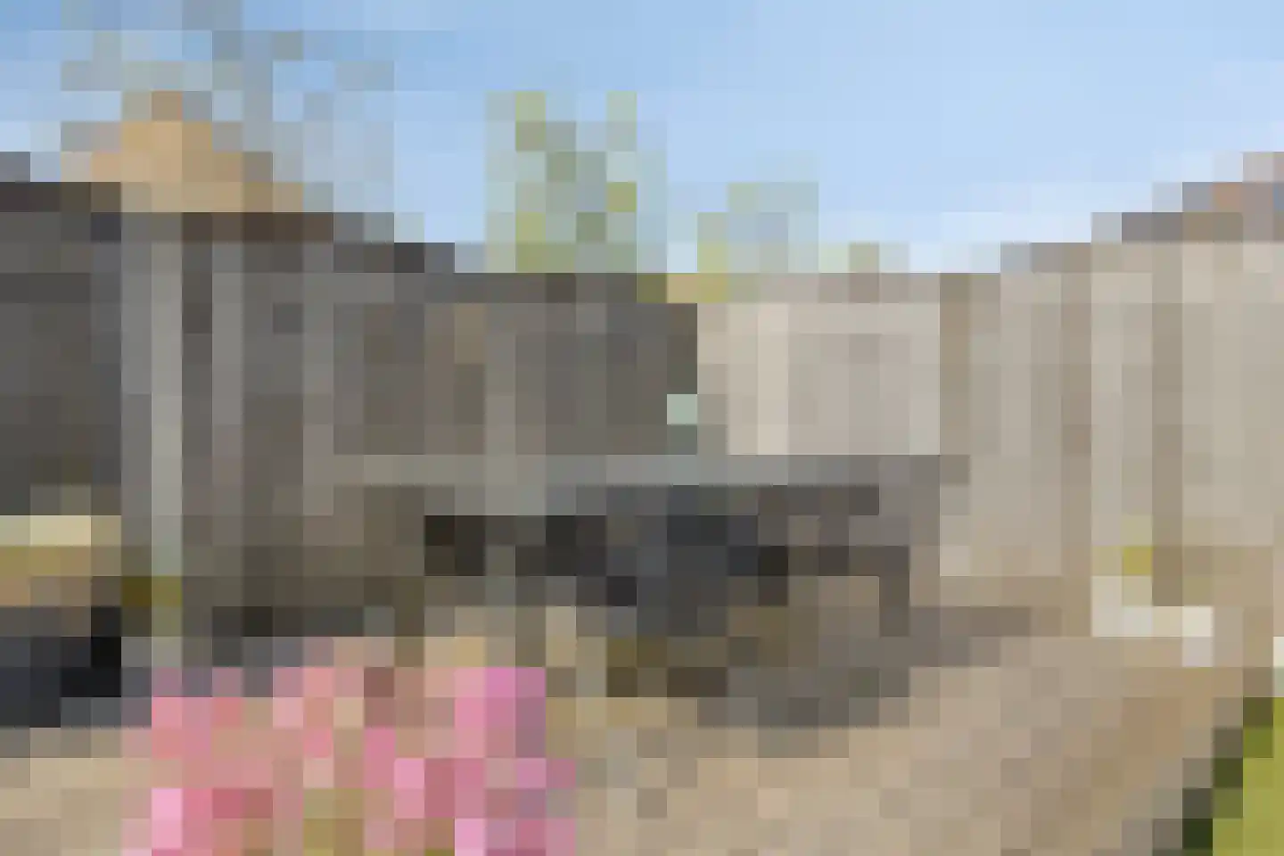 Groenling 10 Boxmeer thumbnail 36