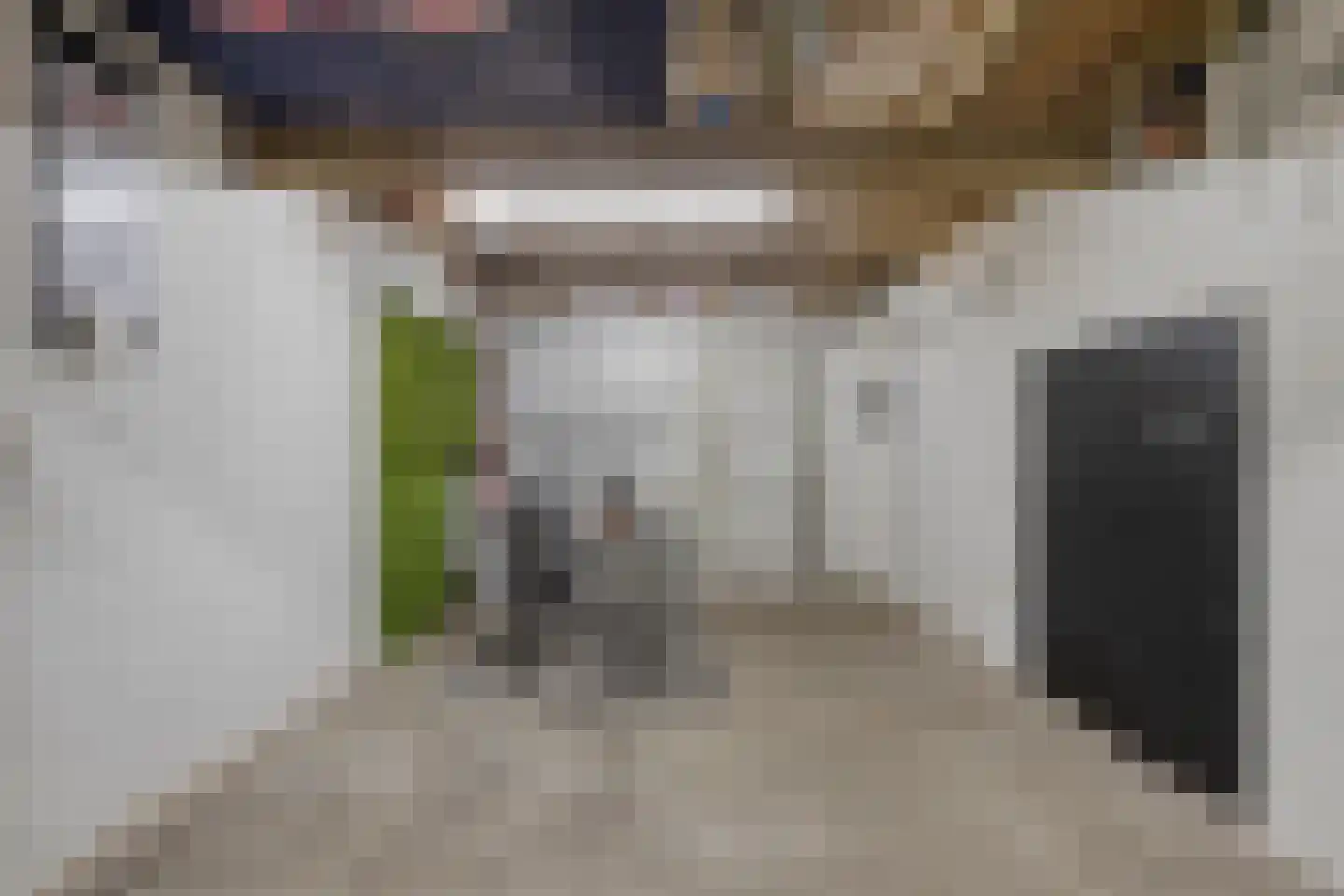 Groenling 10 Boxmeer thumbnail 39
