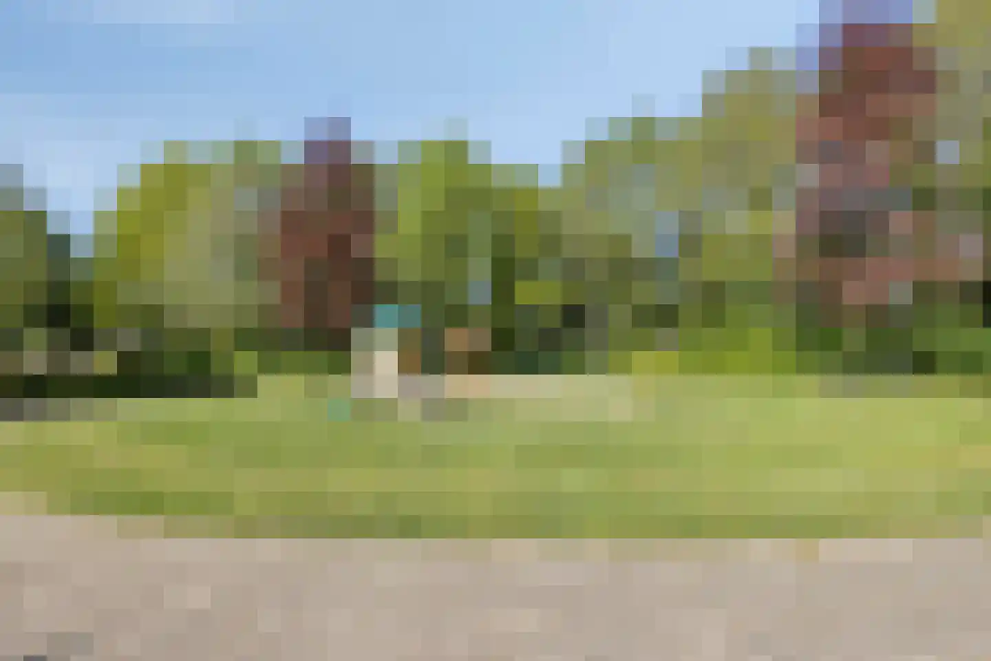 Groenling 10 Boxmeer thumbnail 44
