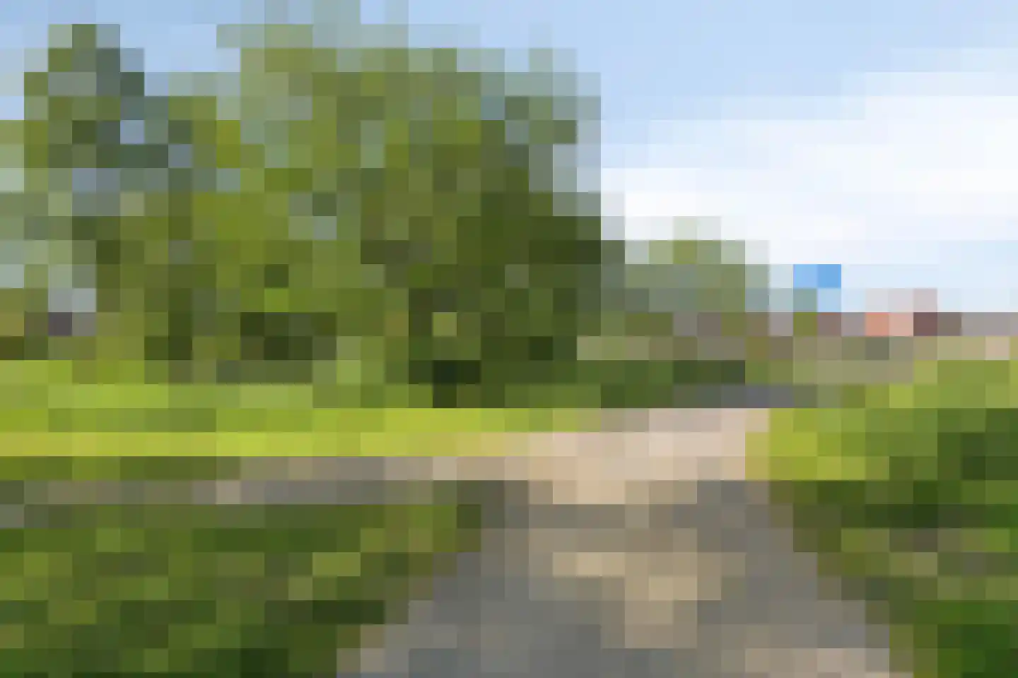 Groenling 10 Boxmeer thumbnail 45