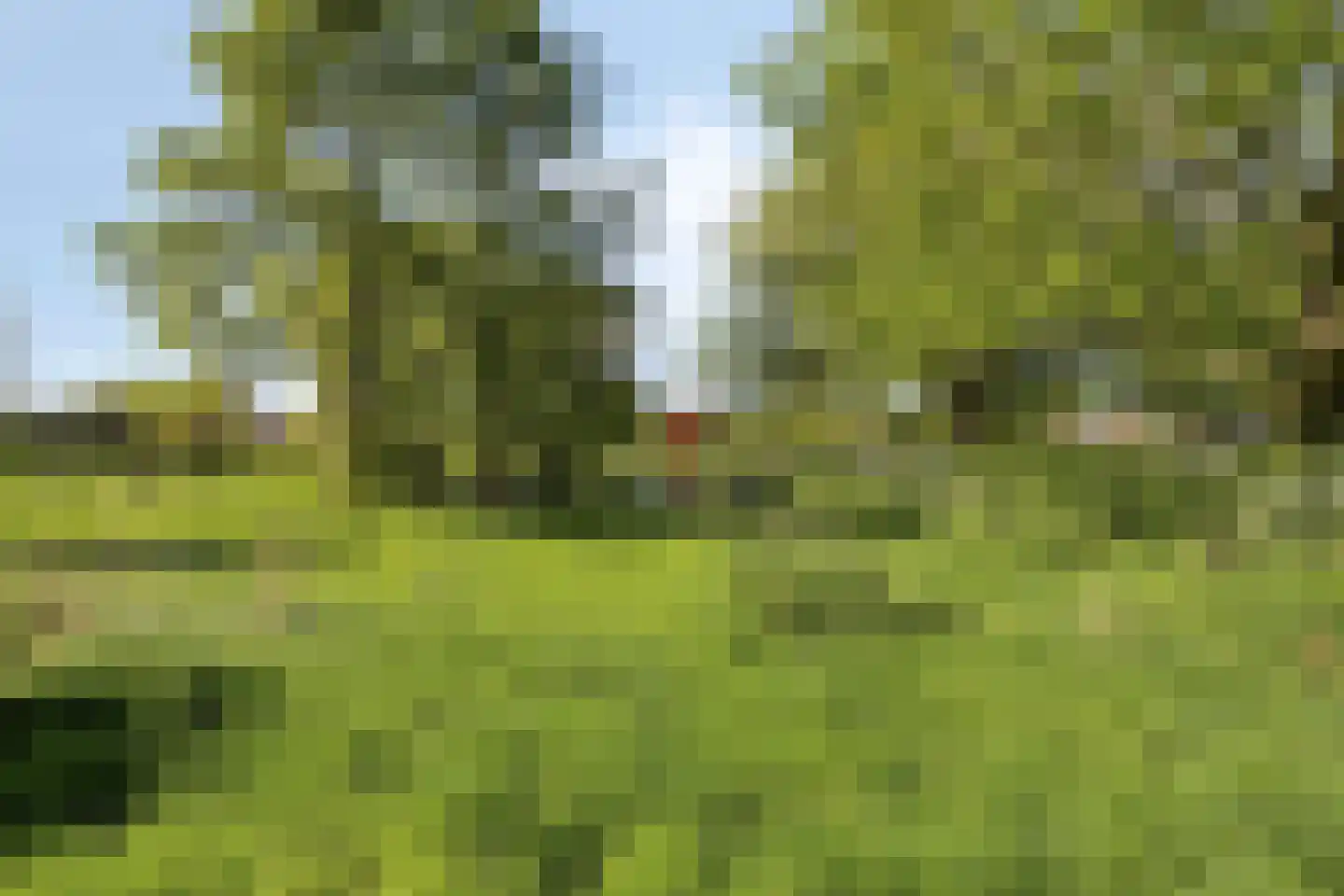 Groenling 10 Boxmeer thumbnail 46