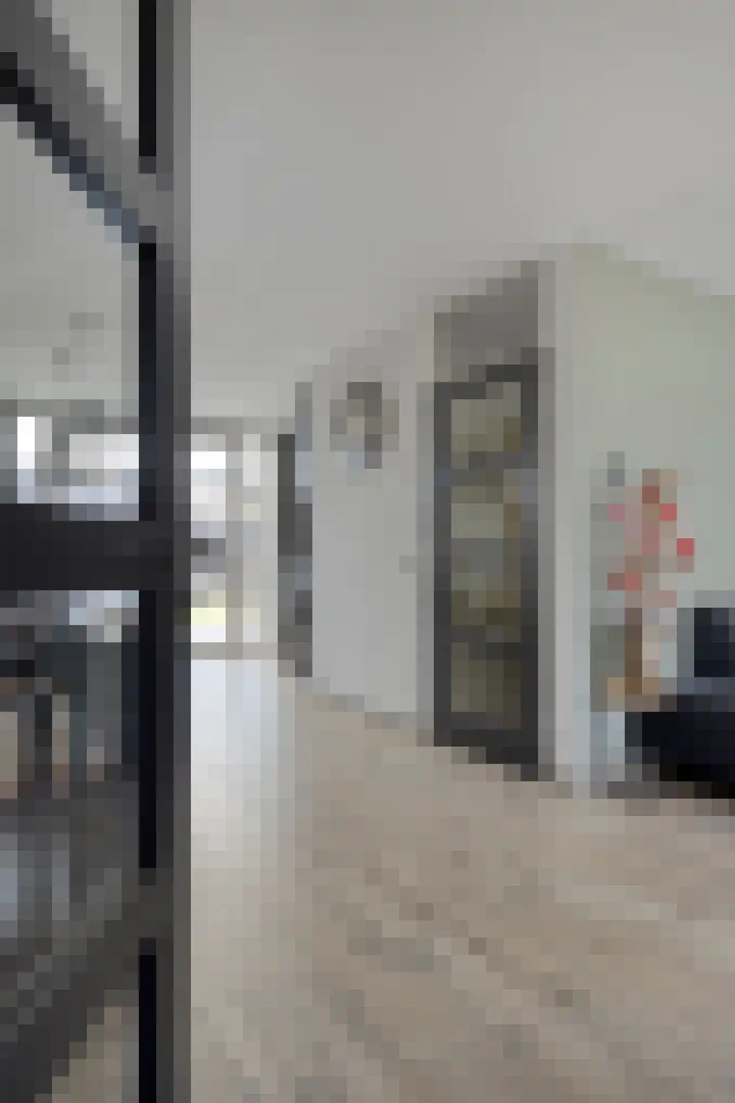 Groenling 10 Boxmeer thumbnail 8