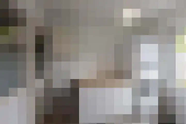 Groenling 13 Lichtenvoorde thumbnail 10