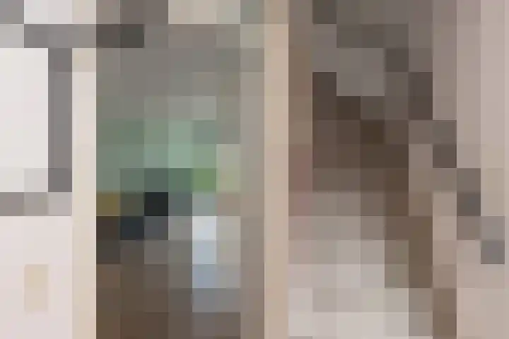 Groenling 13 Lichtenvoorde thumbnail 11