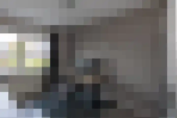 Groenling 13 Lichtenvoorde thumbnail 16