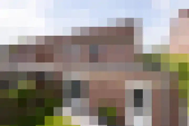 Groenling 13 Lichtenvoorde thumbnail 25