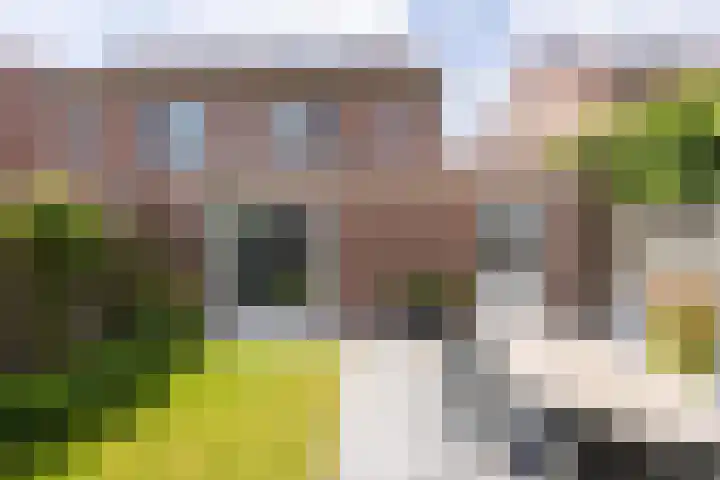 Groenling 13 Lichtenvoorde thumbnail 26