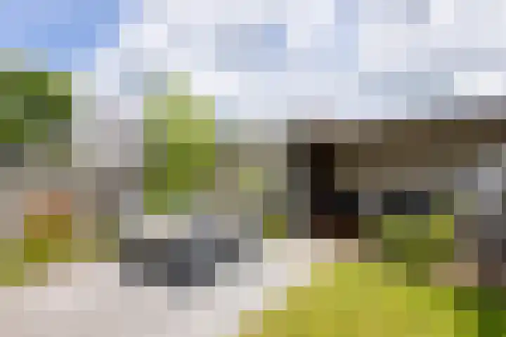 Groenling 13 Lichtenvoorde thumbnail 27