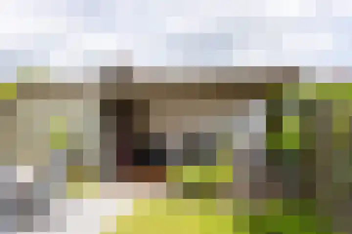 Groenling 13 Lichtenvoorde thumbnail 28