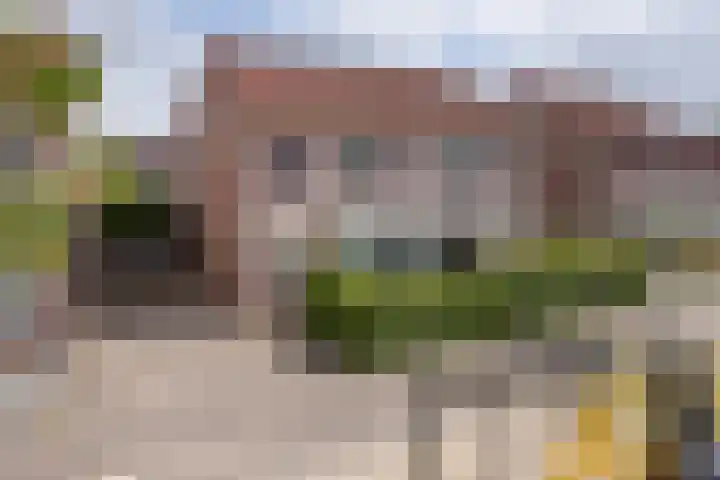 Groenling 13 Lichtenvoorde thumbnail 31