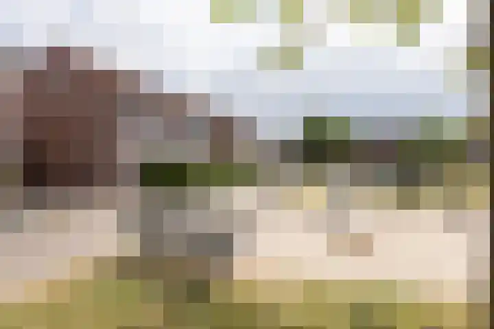 Groenling 13 Lichtenvoorde thumbnail 32