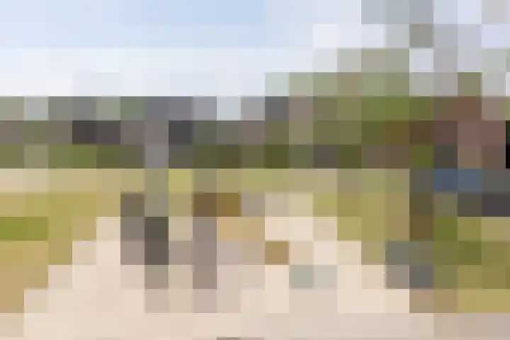 Groenling 13 Lichtenvoorde thumbnail 34