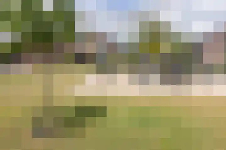 Groenling 13 Lichtenvoorde thumbnail 35