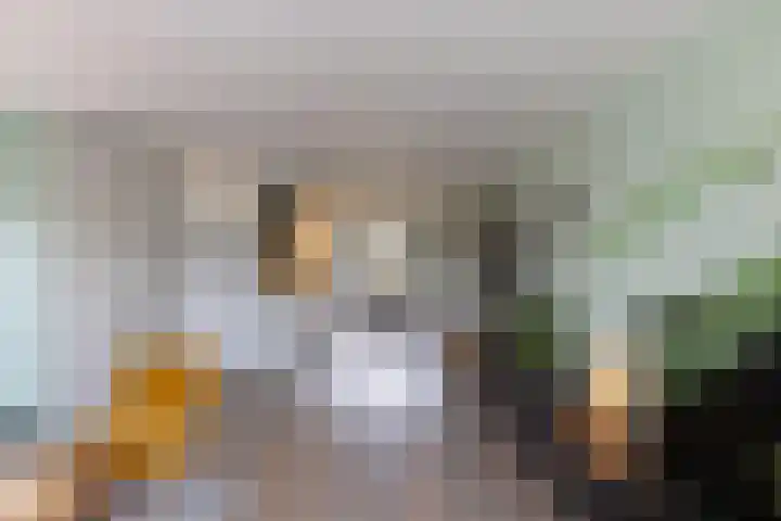 Groenling 13 Lichtenvoorde thumbnail 4