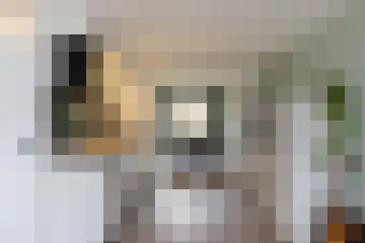 Groenling 13 Lichtenvoorde thumbnail 7