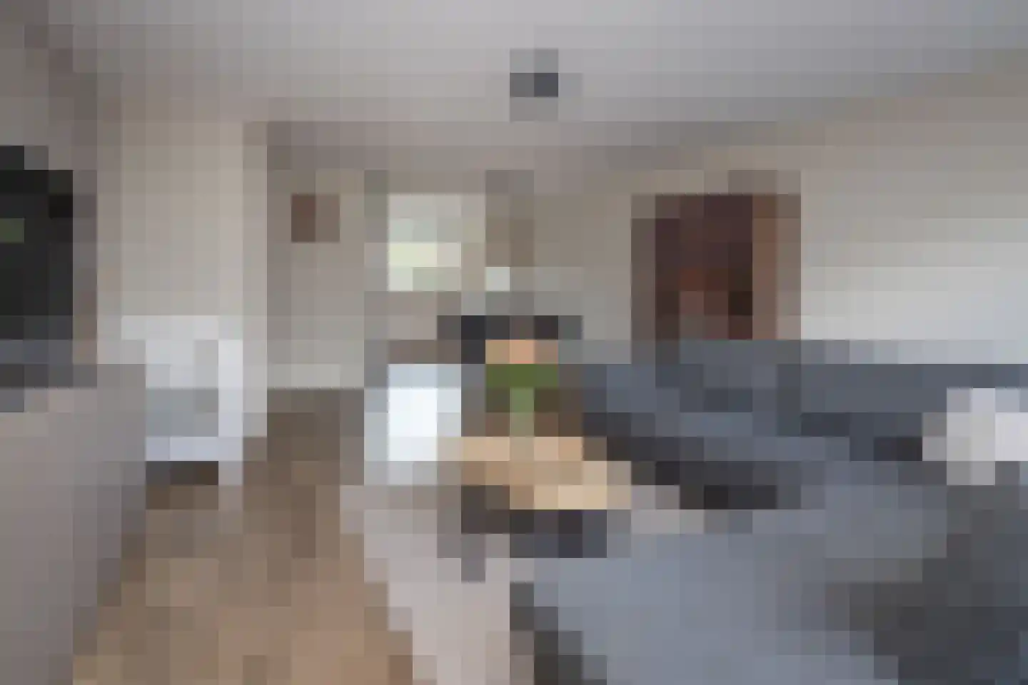 Groenling 16 Hoogkarspel thumbnail 10