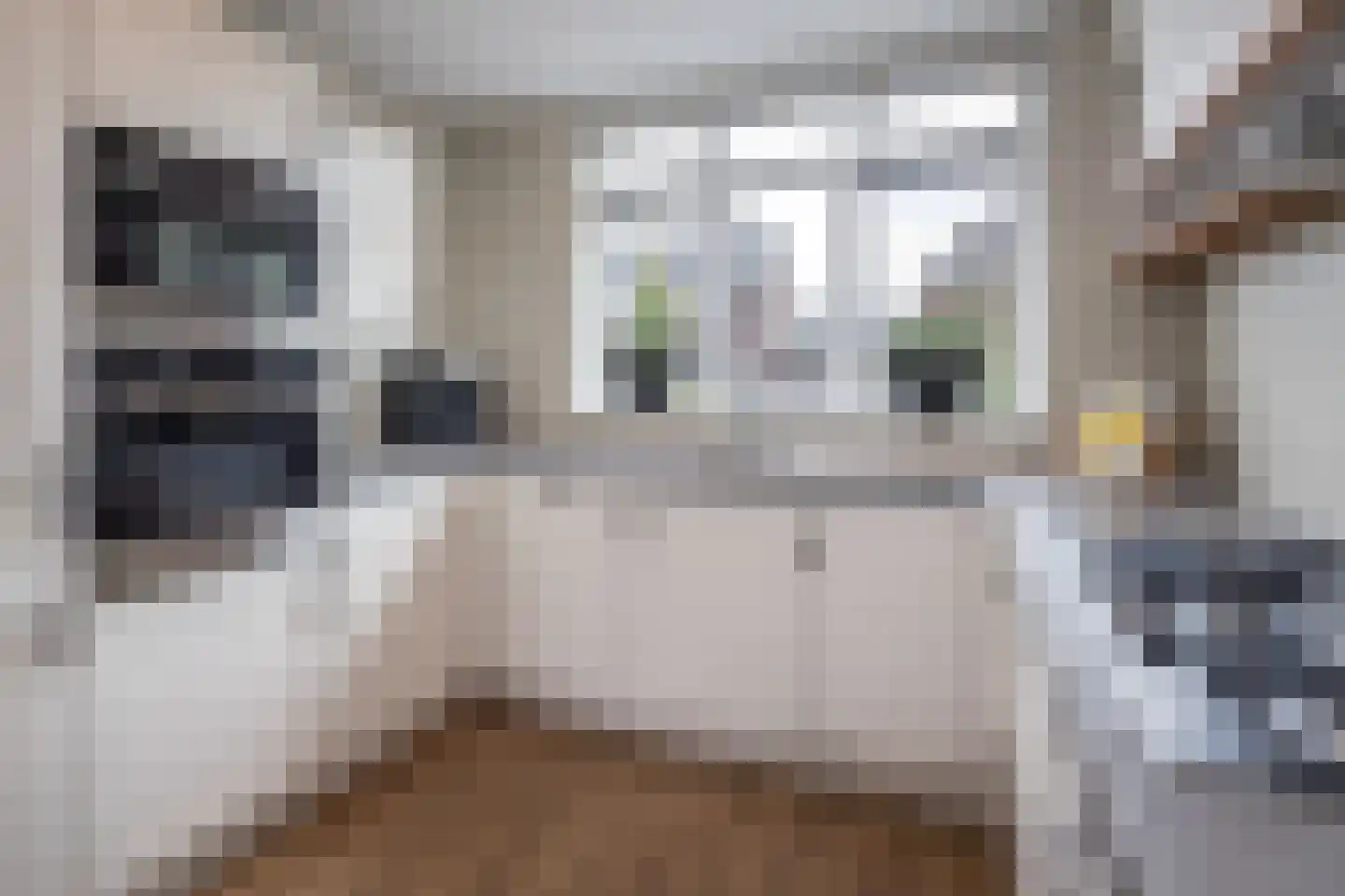 Groenling 16 Hoogkarspel thumbnail 11