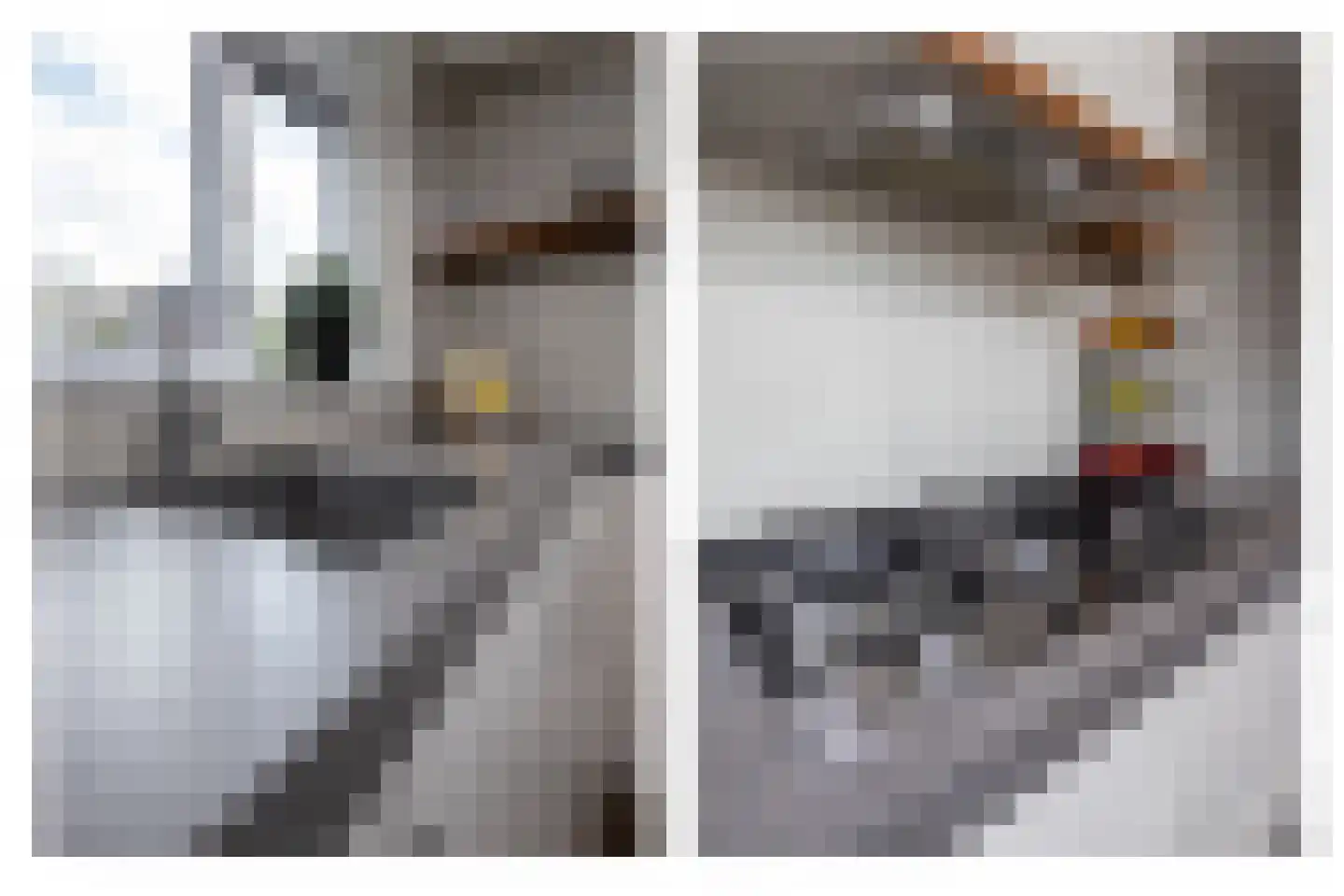 Groenling 16 Hoogkarspel thumbnail 12