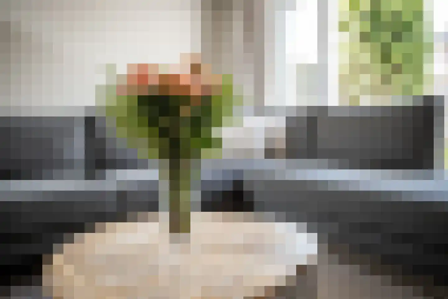 Groenling 16 Hoogkarspel thumbnail 13