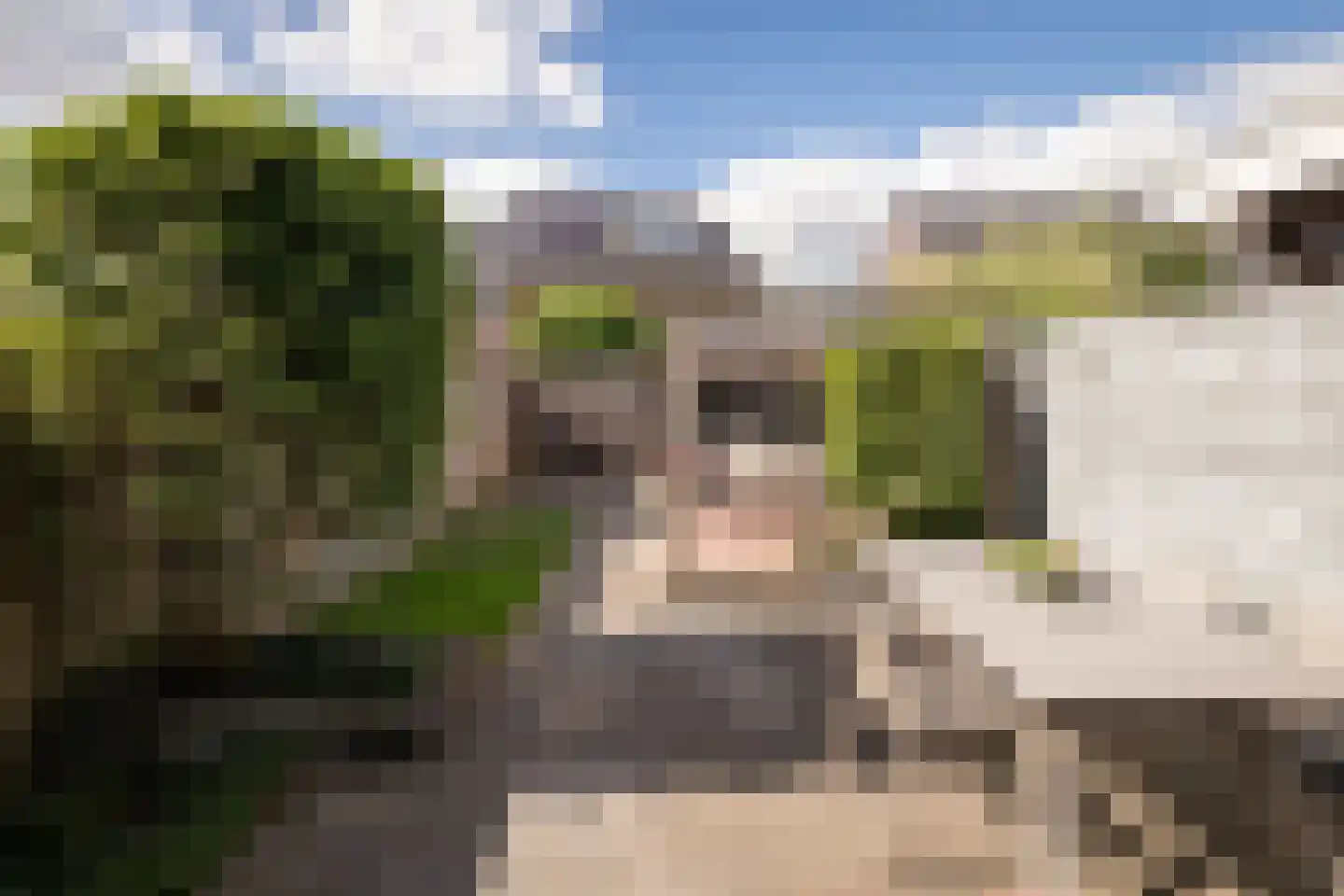 Groenling 16 Hoogkarspel thumbnail 27