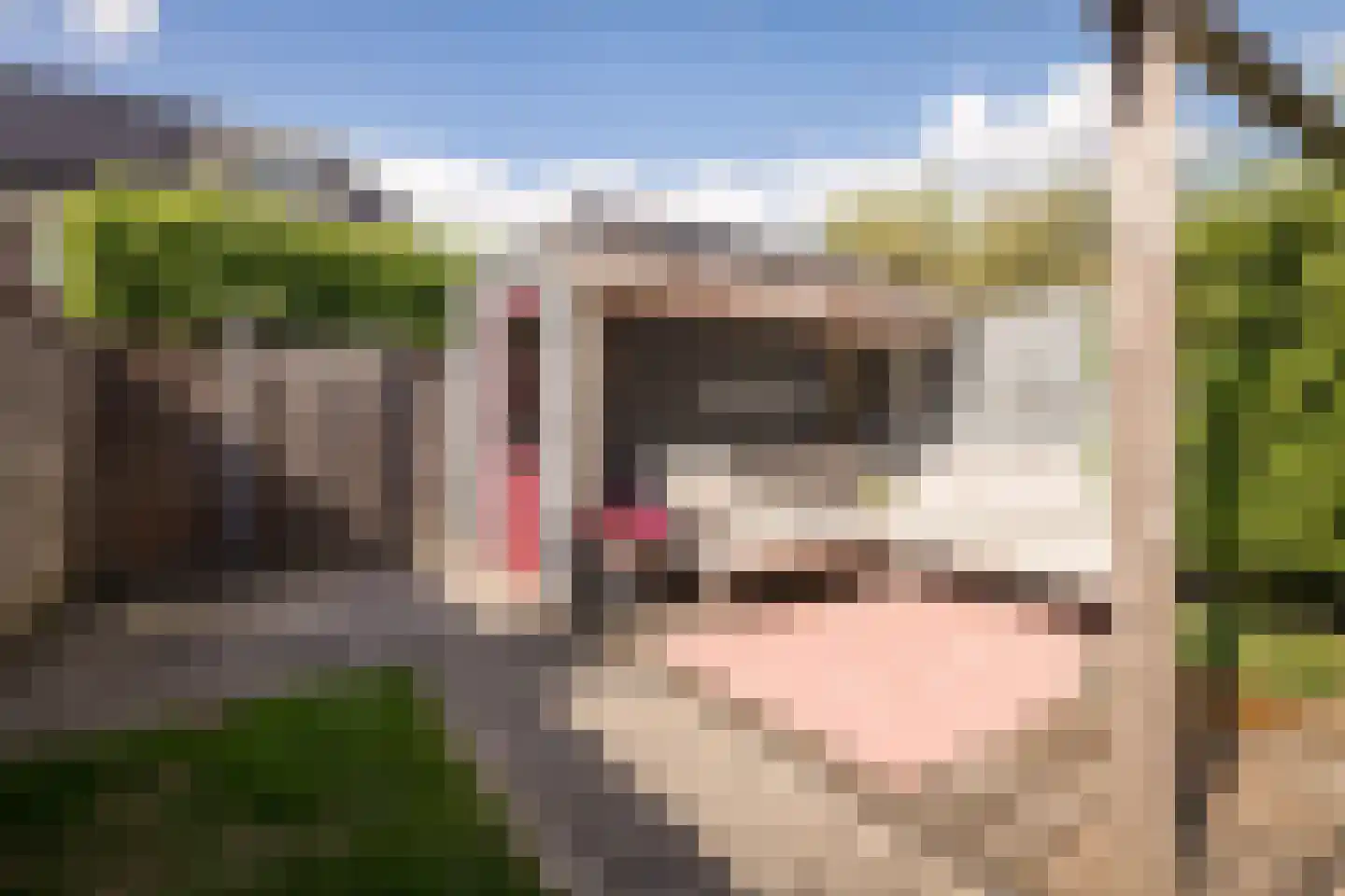 Groenling 16 Hoogkarspel thumbnail 28