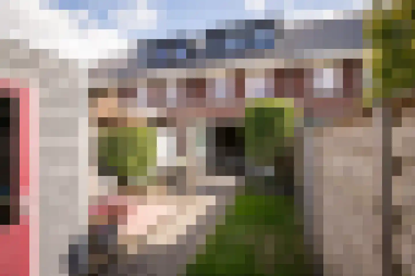 Groenling 16 Hoogkarspel thumbnail 29