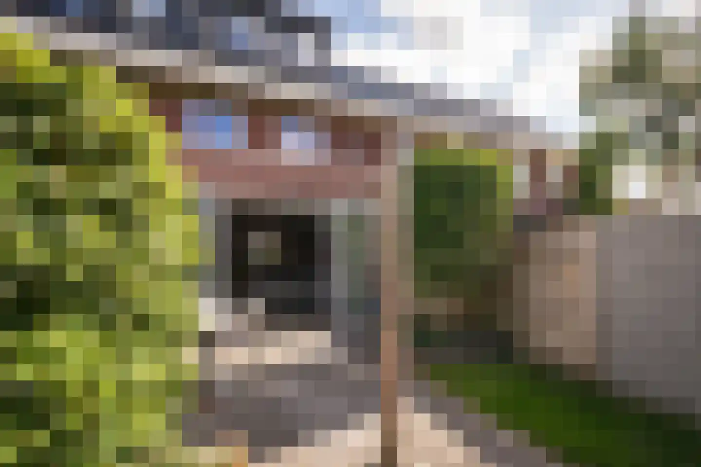 Groenling 16 Hoogkarspel thumbnail 31