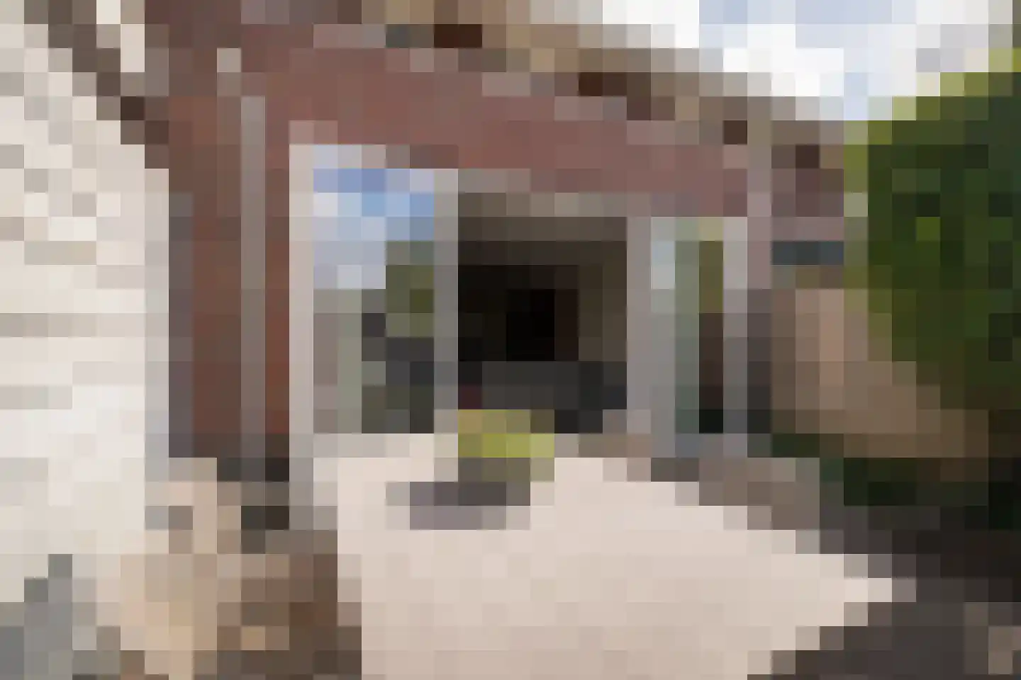 Groenling 16 Hoogkarspel thumbnail 32