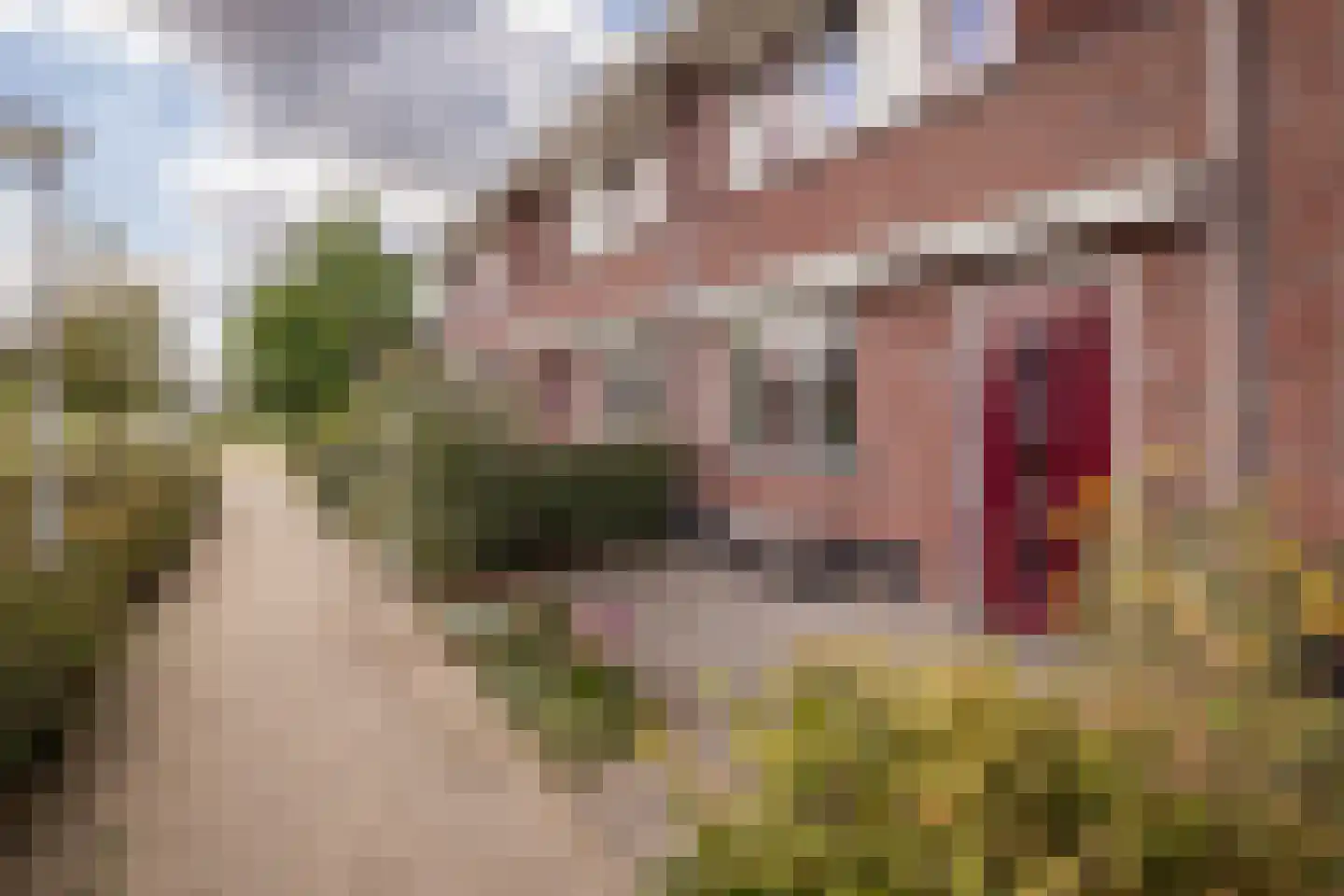 Groenling 16 Hoogkarspel thumbnail 34