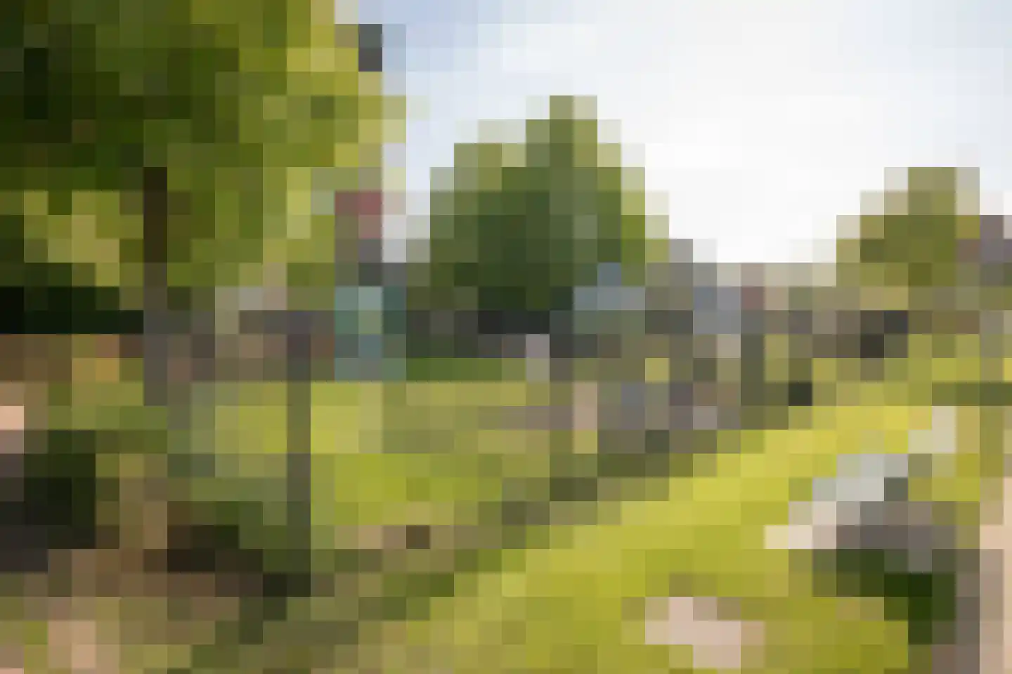 Groenling 16 Hoogkarspel thumbnail 43