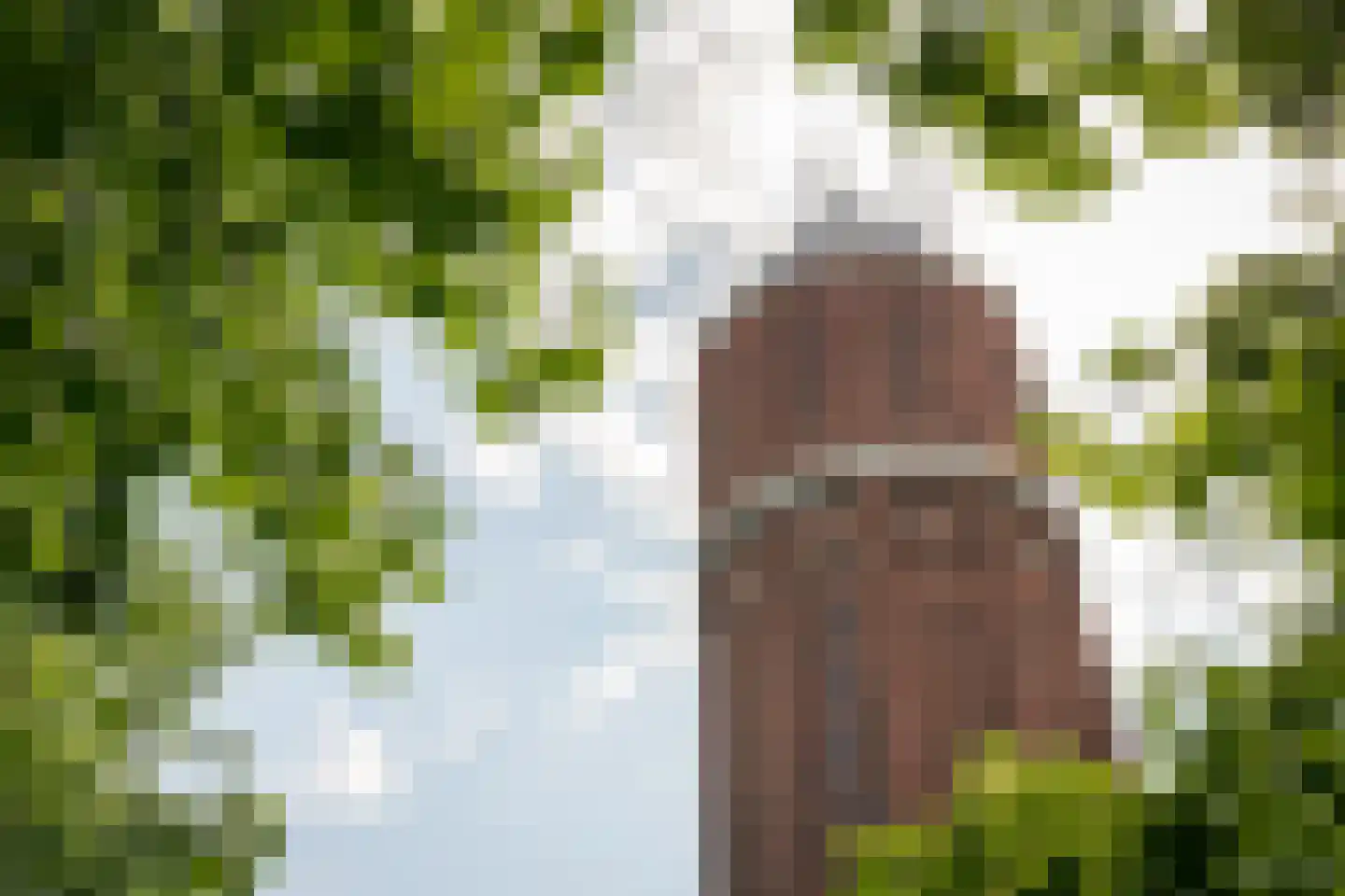 Groenling 16 Hoogkarspel thumbnail 49