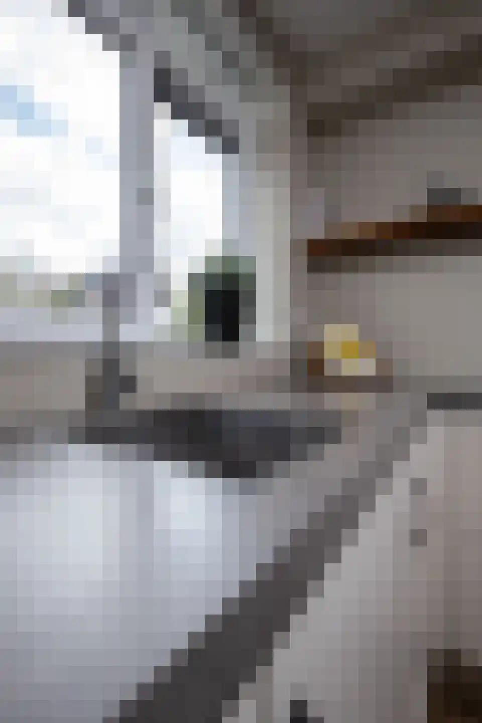 Groenling 16 Hoogkarspel thumbnail 54