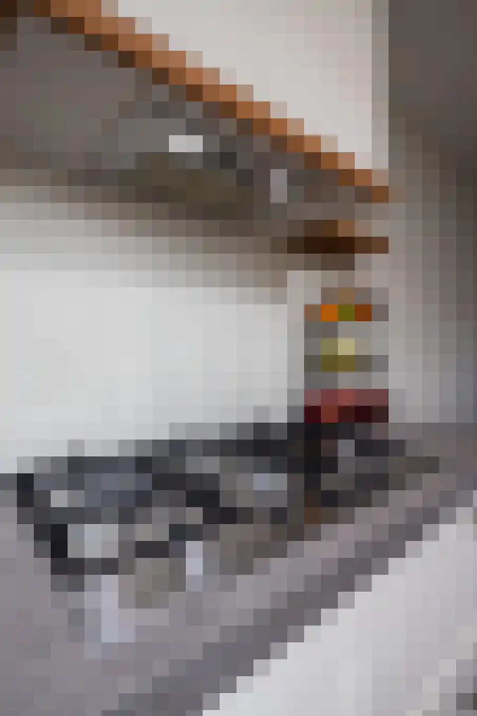 Groenling 16 Hoogkarspel thumbnail 55
