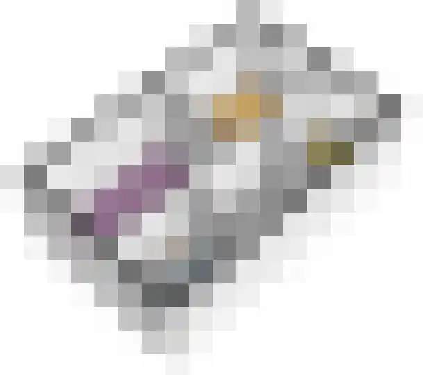 Groenling 16 Hoogkarspel thumbnail 62