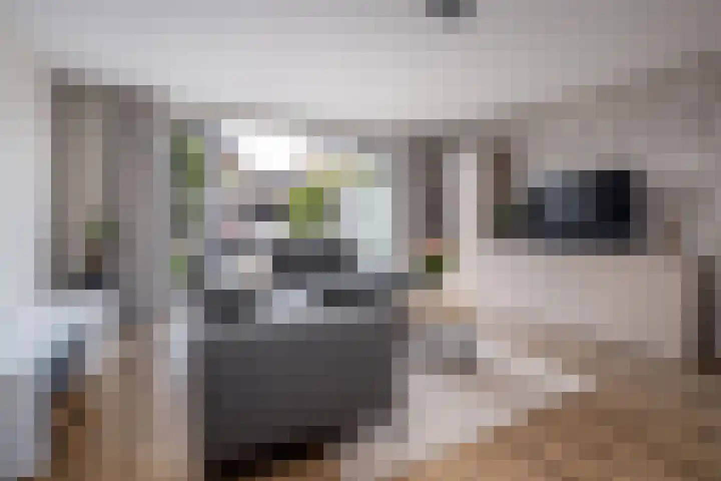 Groenling 16 Hoogkarspel thumbnail 8