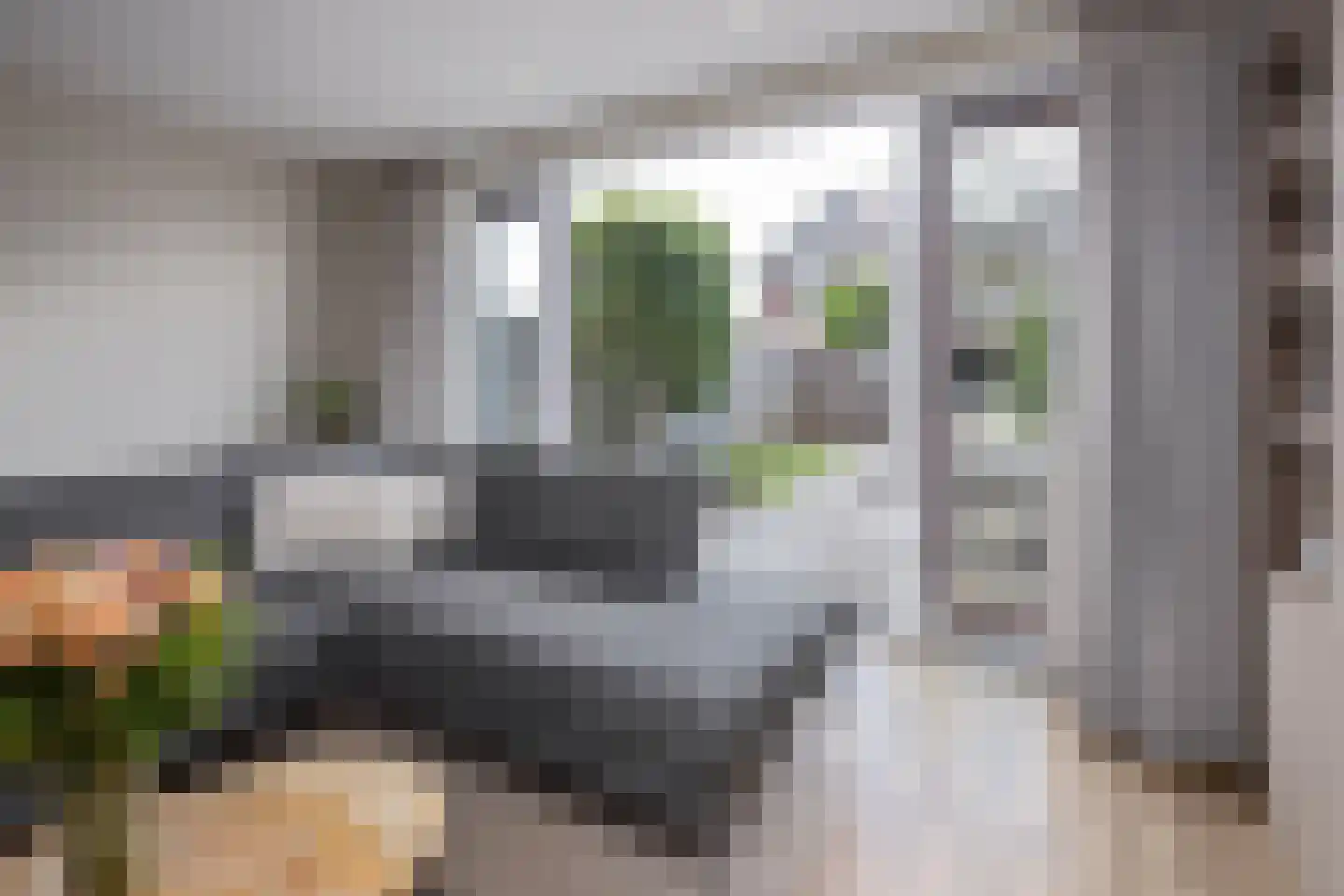 Groenling 16 Hoogkarspel thumbnail 9