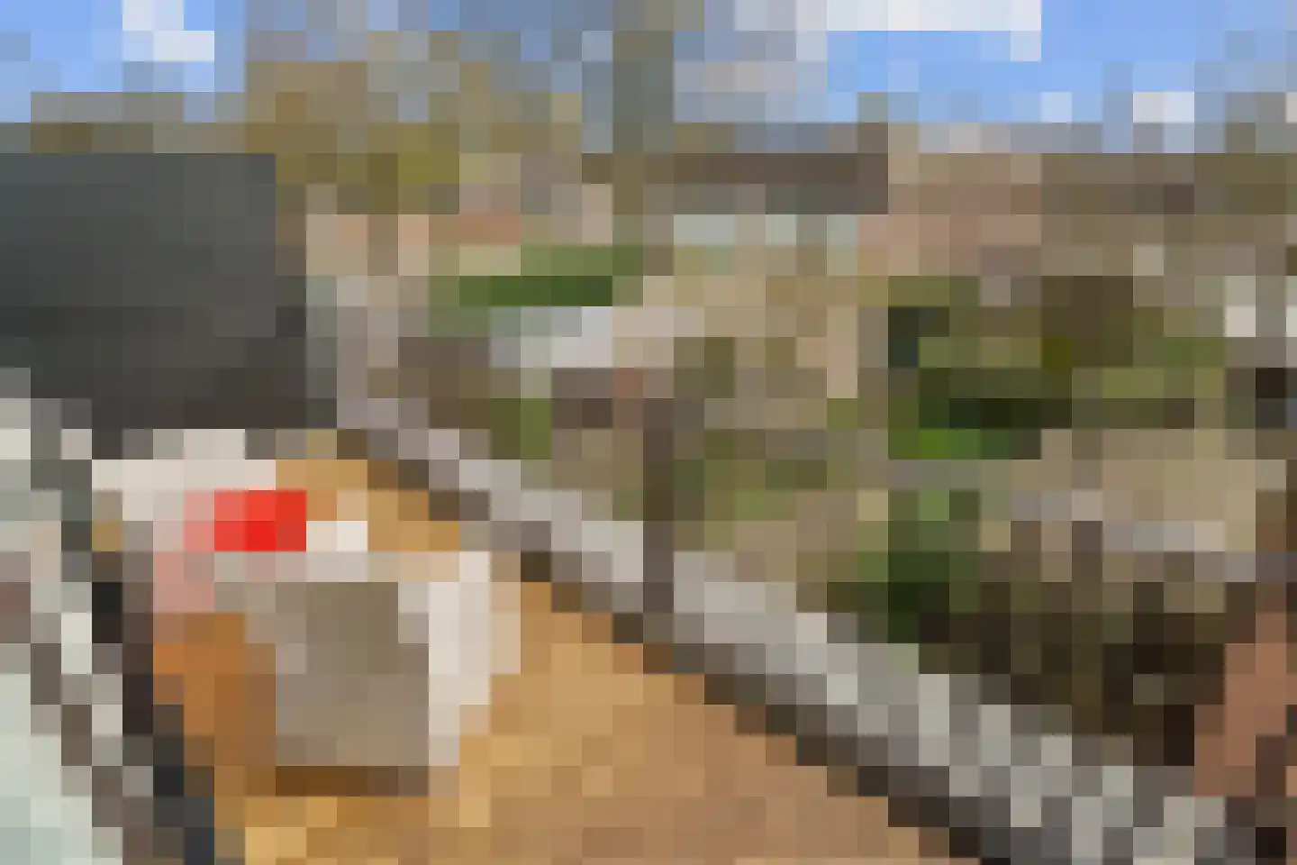 Groenling 17 Nieuwegein thumbnail 22