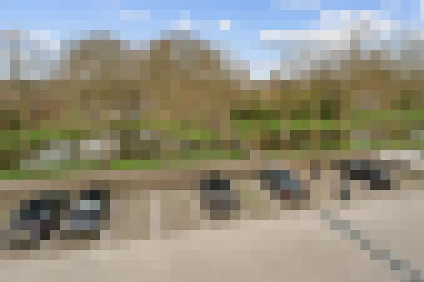 Groenling 17 Nieuwegein thumbnail 24