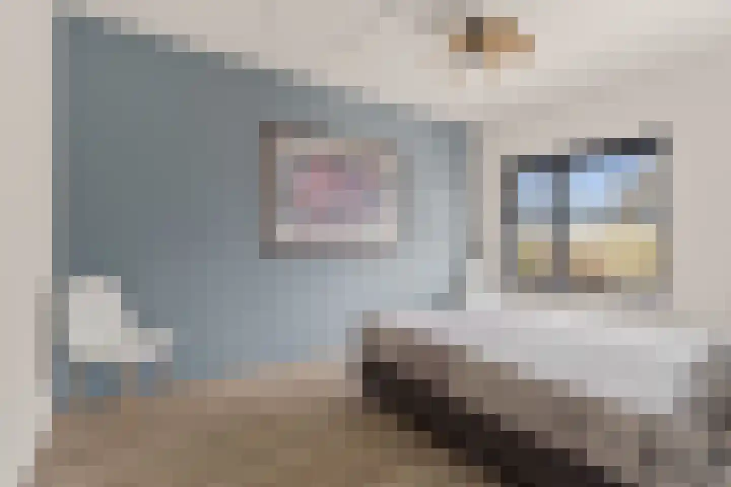 Groenling 17 Nieuwegein thumbnail 33